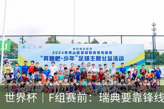 世界杯｜F组赛前：瑞典要靠锋线双星 突尼斯欲出线